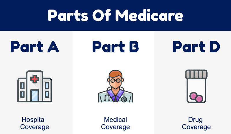 medicare for dummies