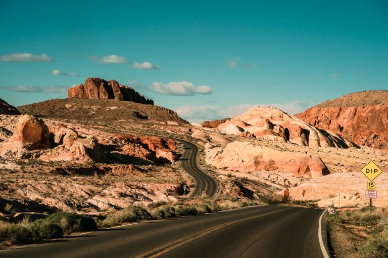 Nevada Medigap Birthday Rule